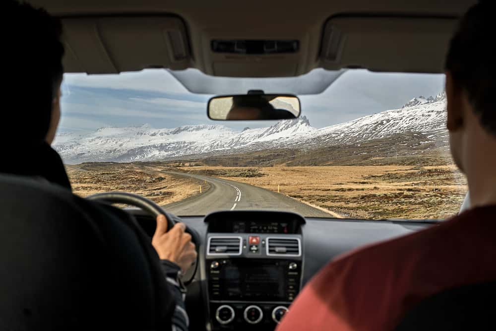 Bad Gut Reactions facts