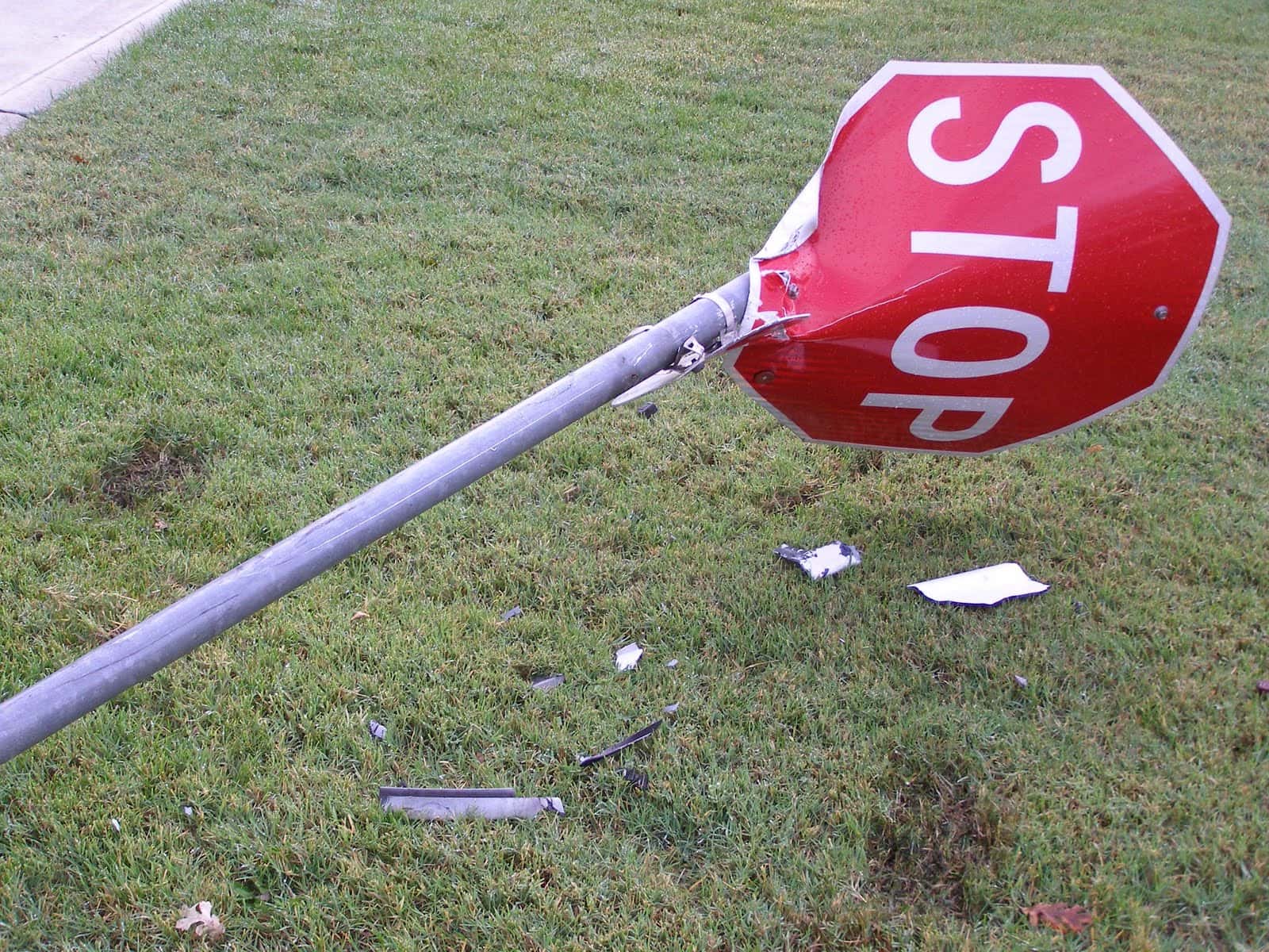 Ridiculous Court Arguments facts