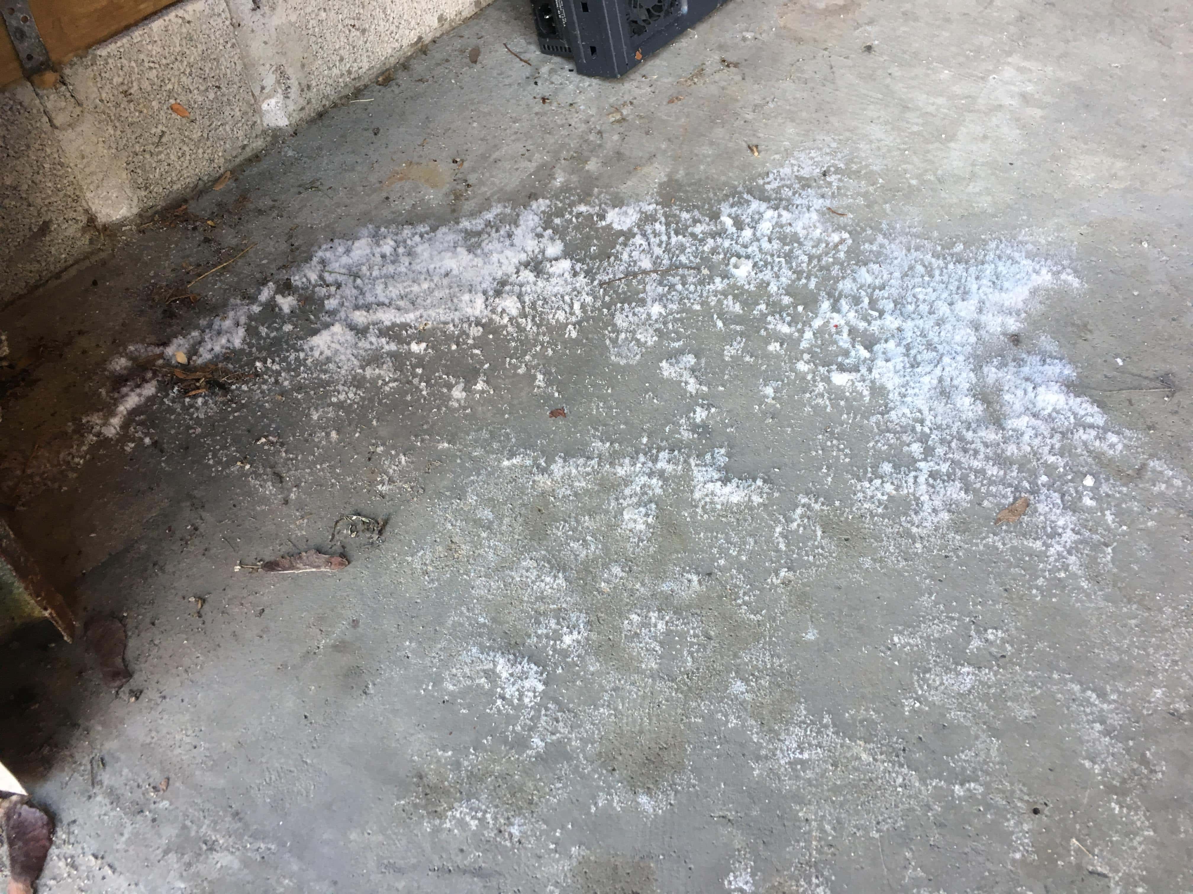 Police Paranormal Facts