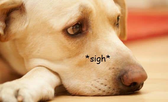 Ridiculous Court Arguments facts