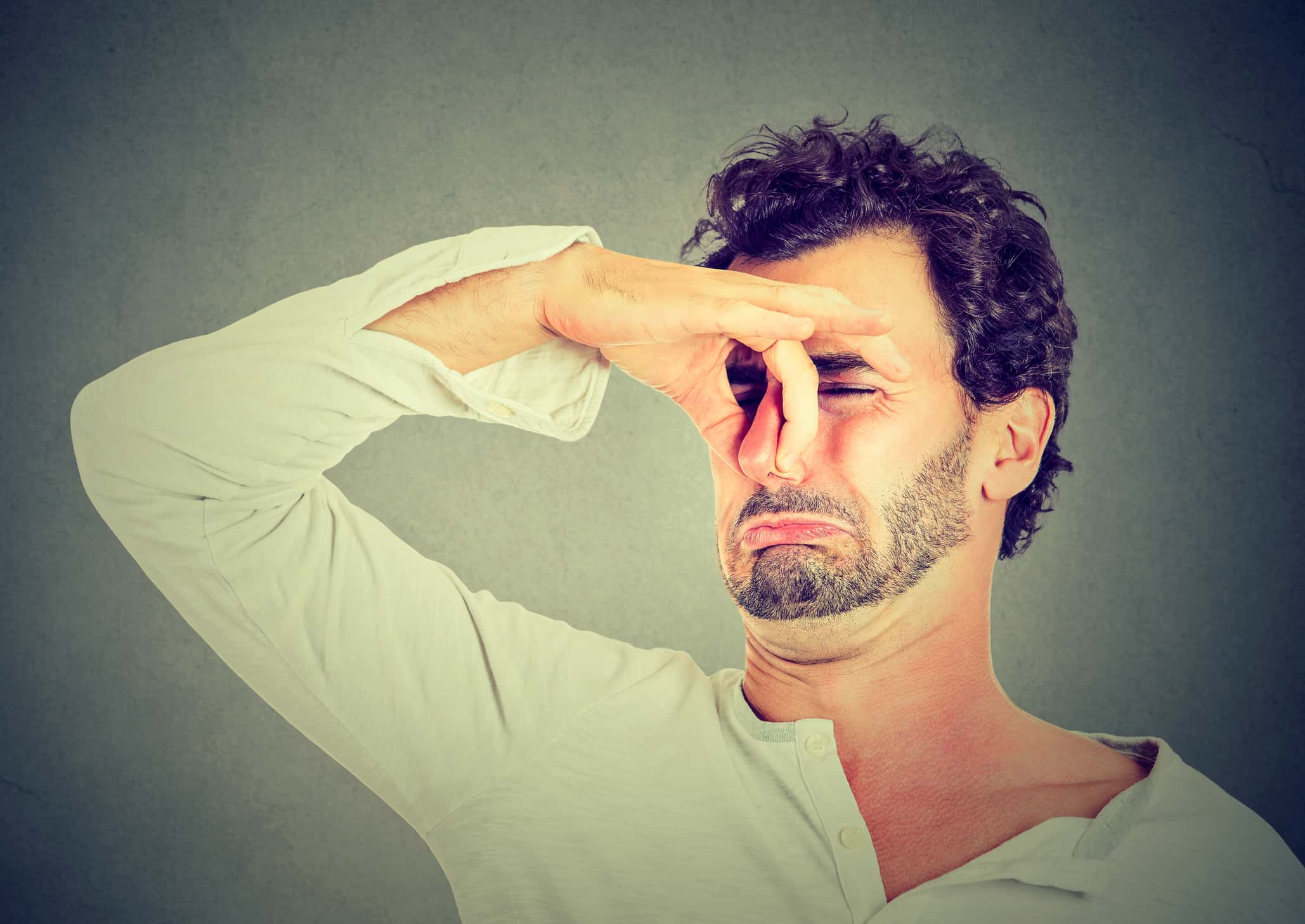 Anne of Cleves facts