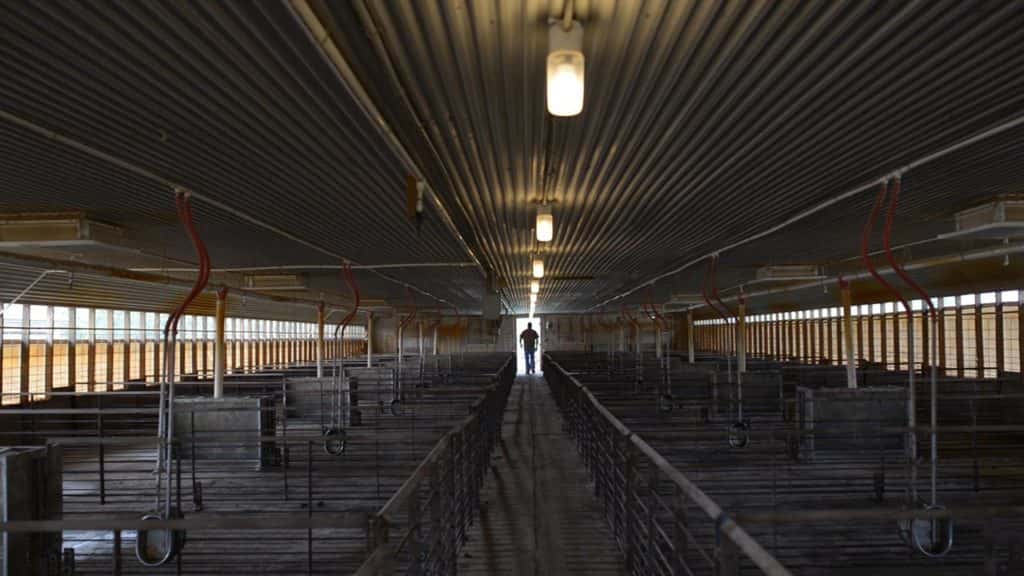 Worst Thing to Happen in Hometown facts