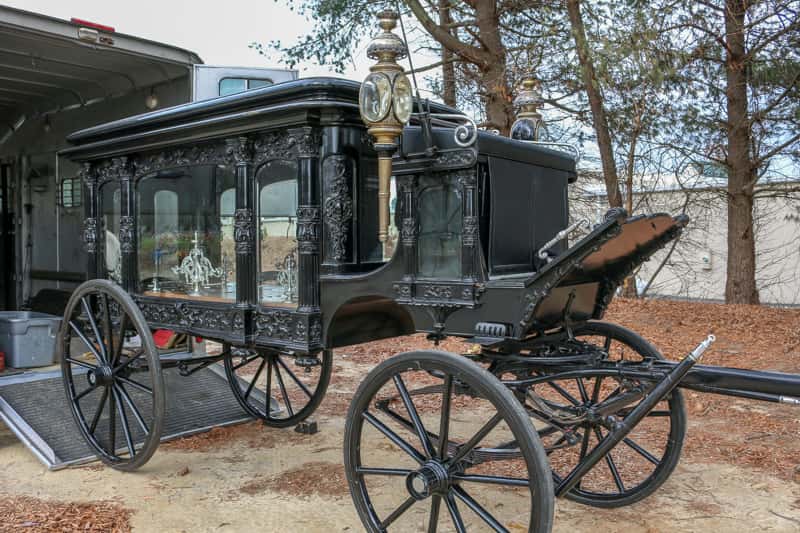 Andre the Giant Facts