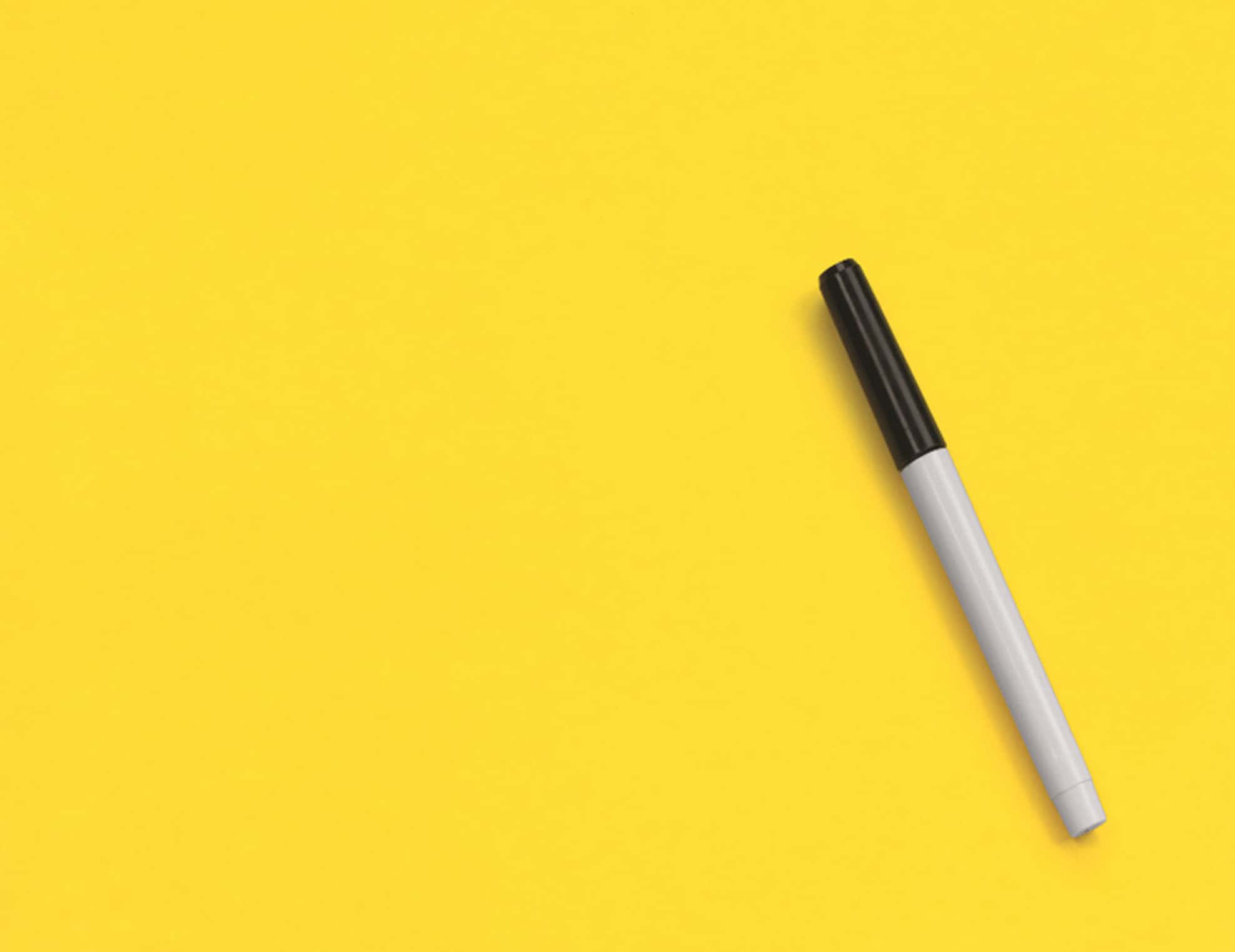 Worst Thing on a Resume facts