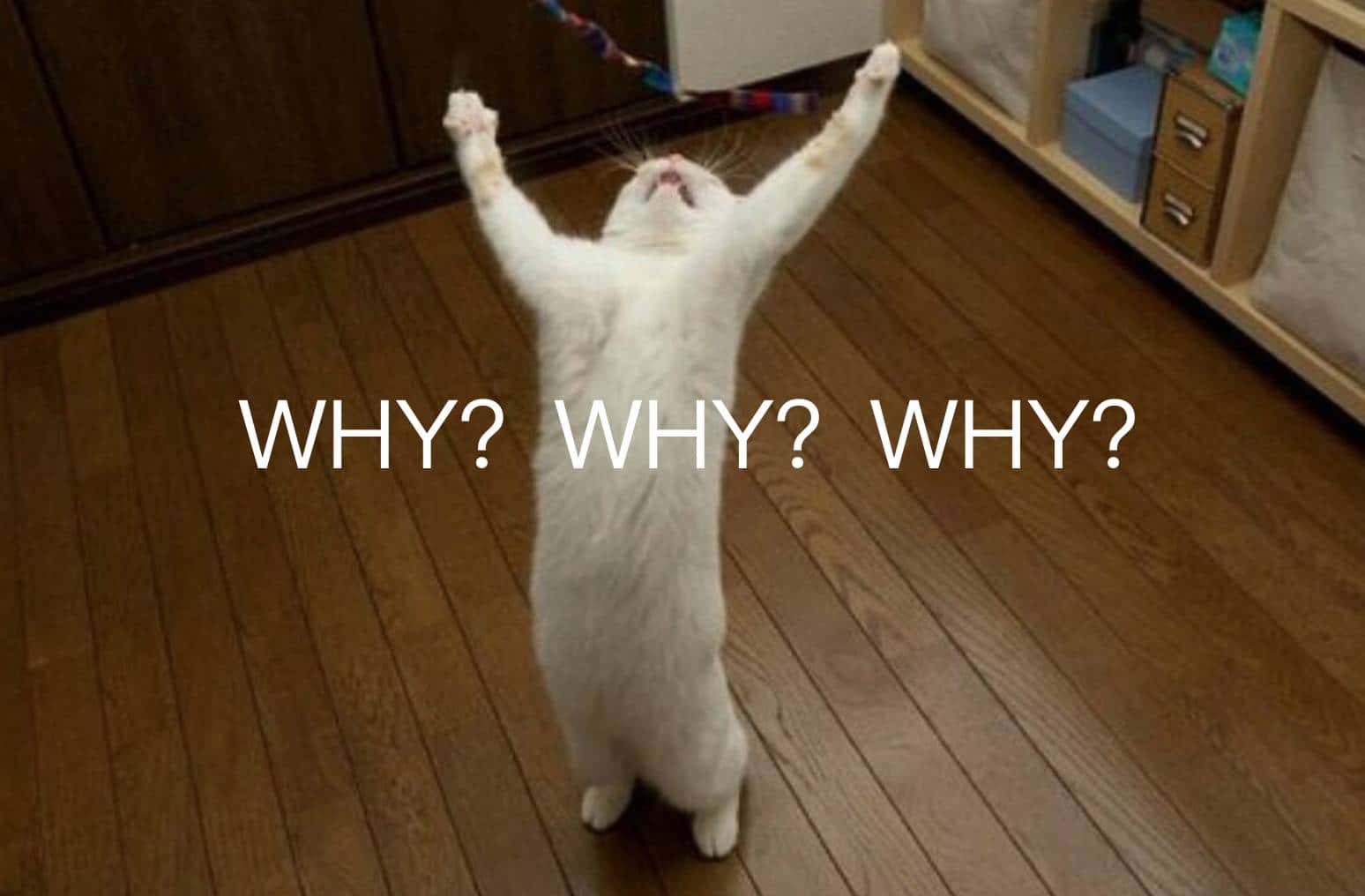 Rich People Problems facts