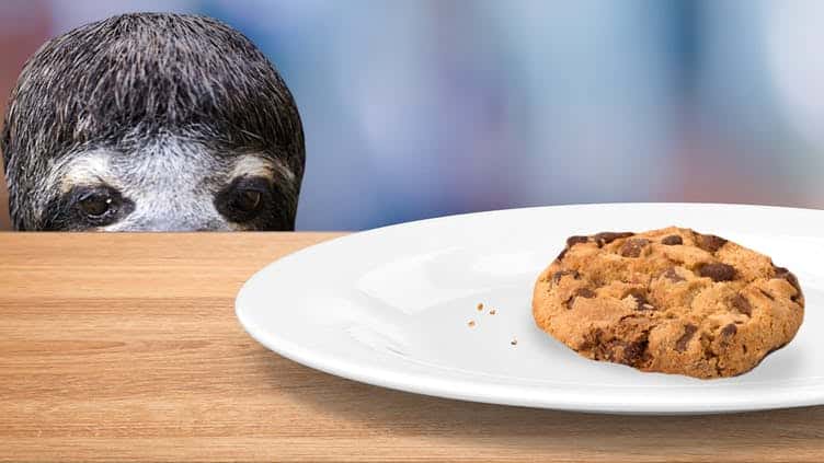 Craziest Things Moms Ever Done Facts