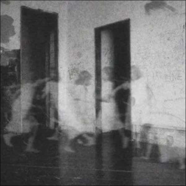 Police Paranormal Facts