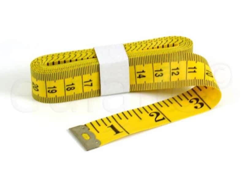 Andre the Giant Facts