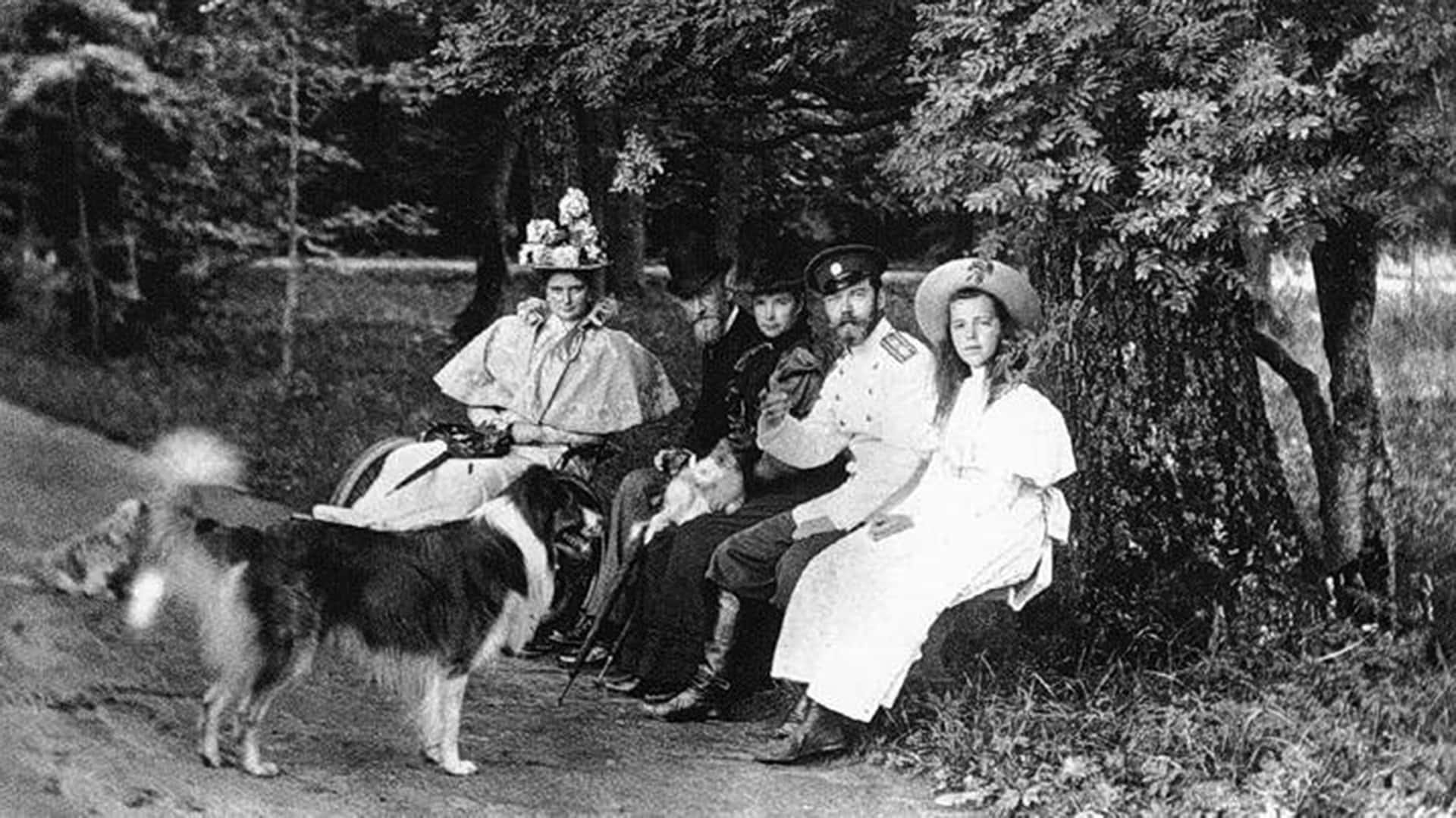 Anastasia Romanov facts