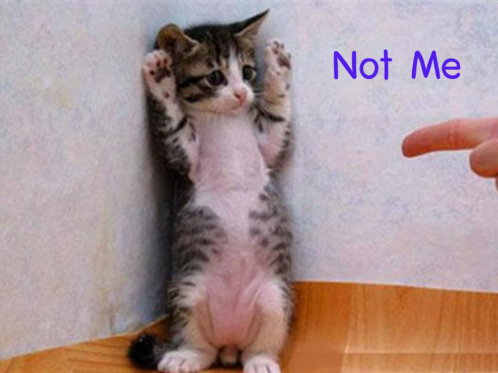 Why They Got Expelled facts