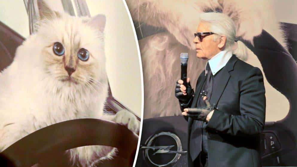 Karl Lagerfeld Facts