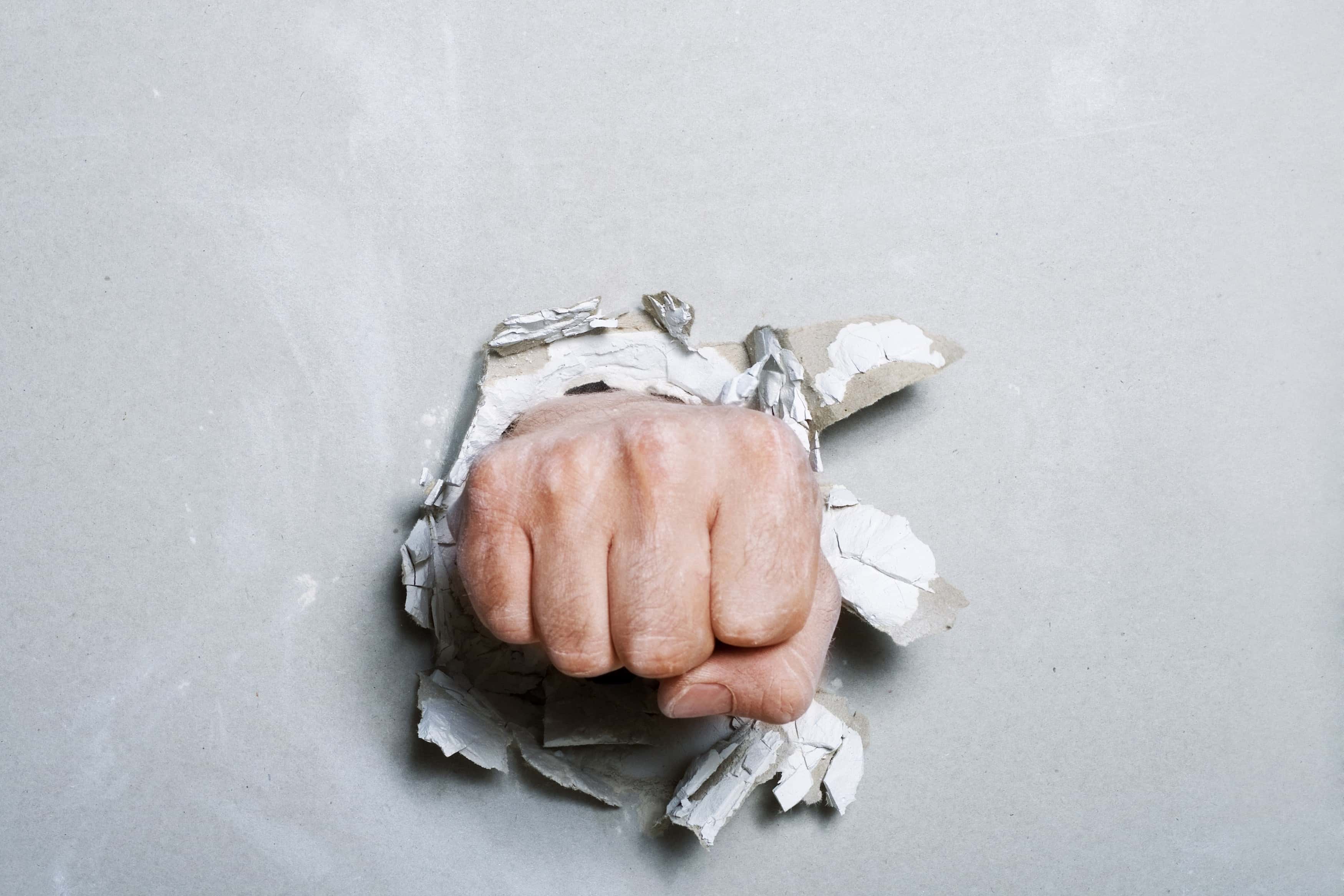 Why They Got Expelled facts