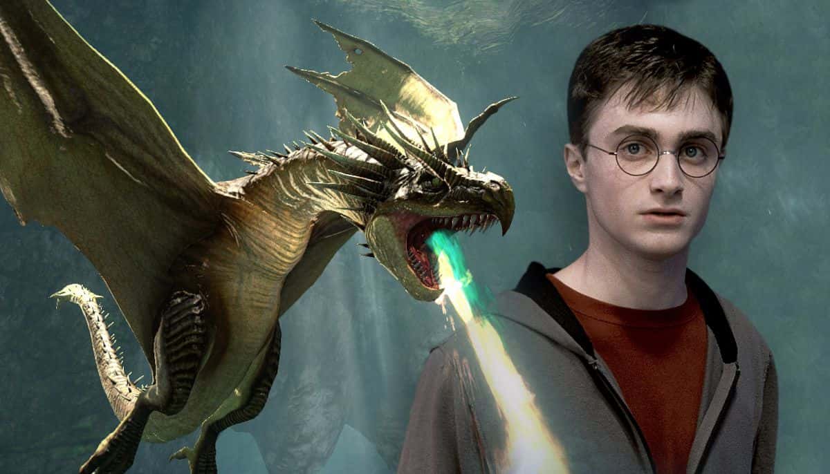 Worst Thing on a Resume facts