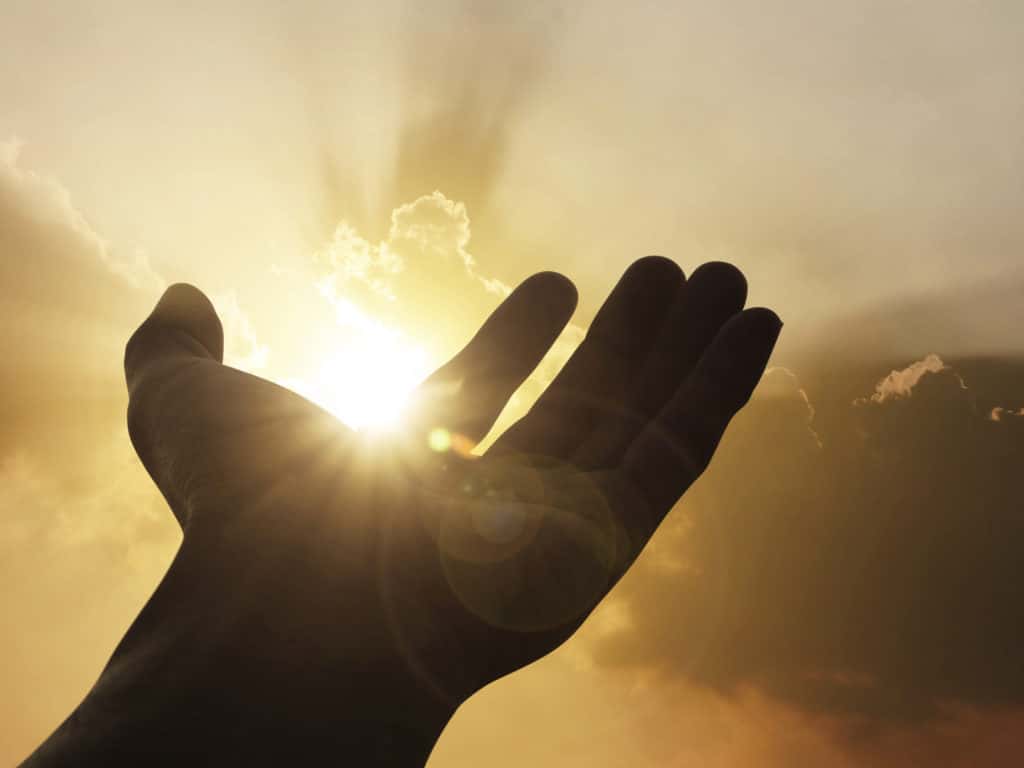 Bad Gut Reactions facts