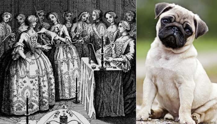 Facts From Across History