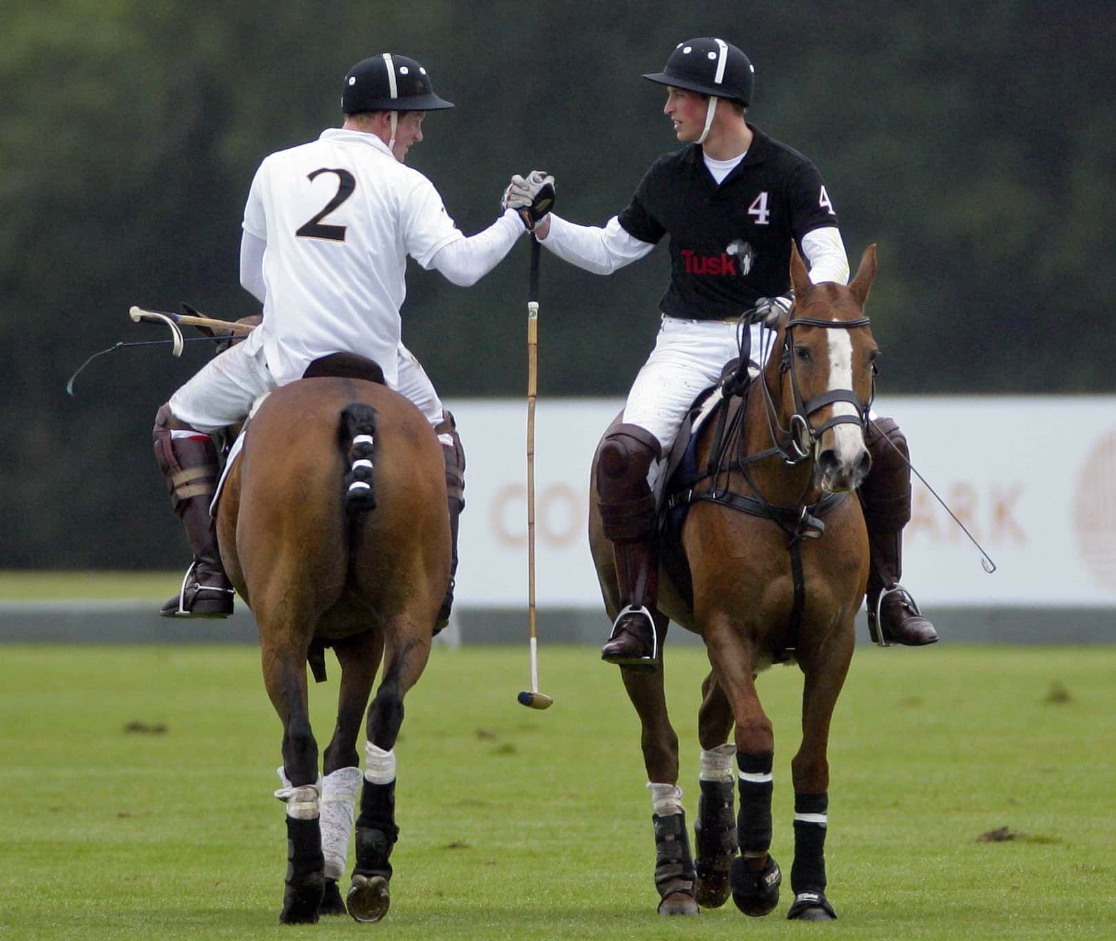 Prince William facts