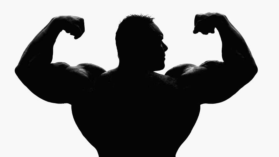 Andre the Giant Facts