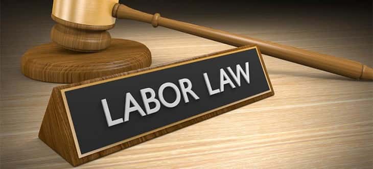 Mary-Kate and Ashley Olsen facts