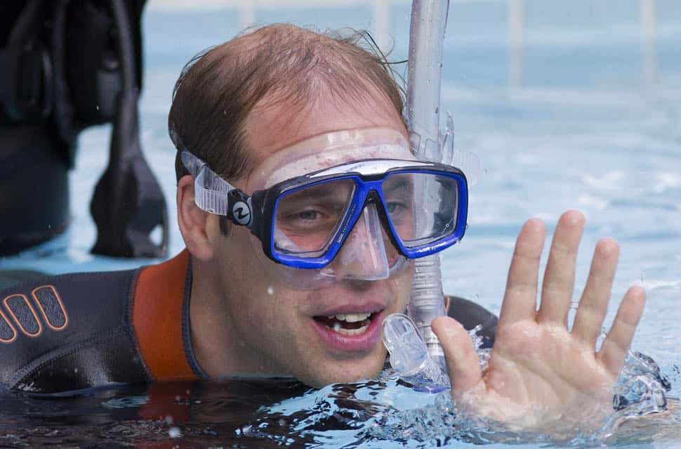 Prince William facts