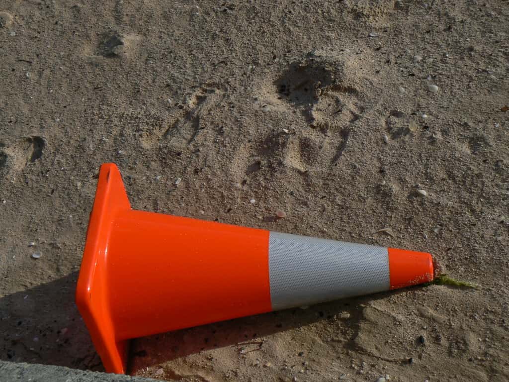 Why They Got Expelled facts