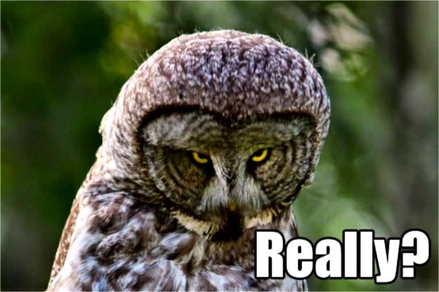 Worst Thing At A Wedding facts 