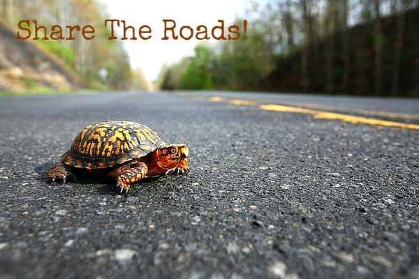 Craziest Things Moms Ever Done Facts