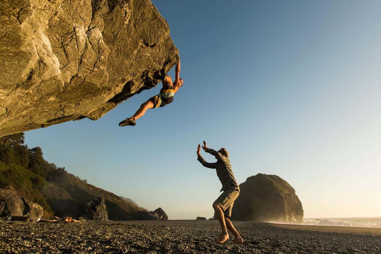 Bad Gut Reactions facts