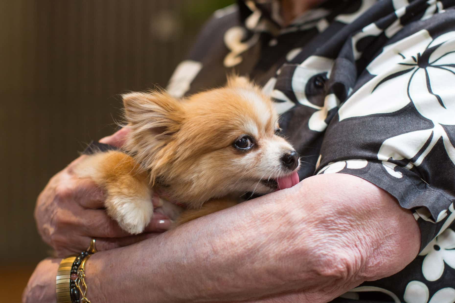 Ridiculous Court Arguments facts