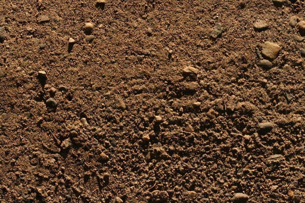 Creepiest Thing in History facts