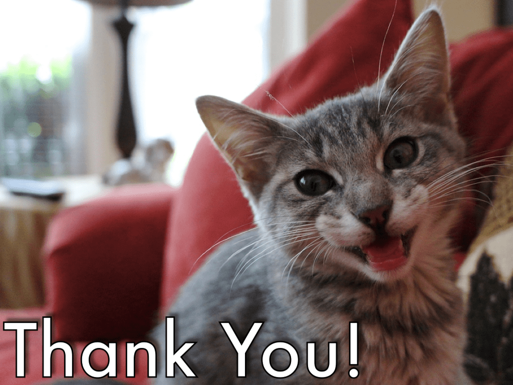 Bizarre Celebrity Encounters facts