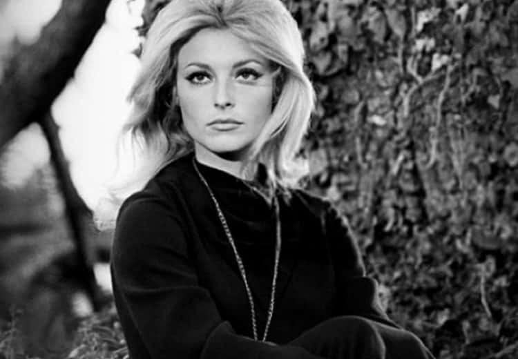 Sultry Facts About Sharon Tate, The Tragic Vixen - Factinate