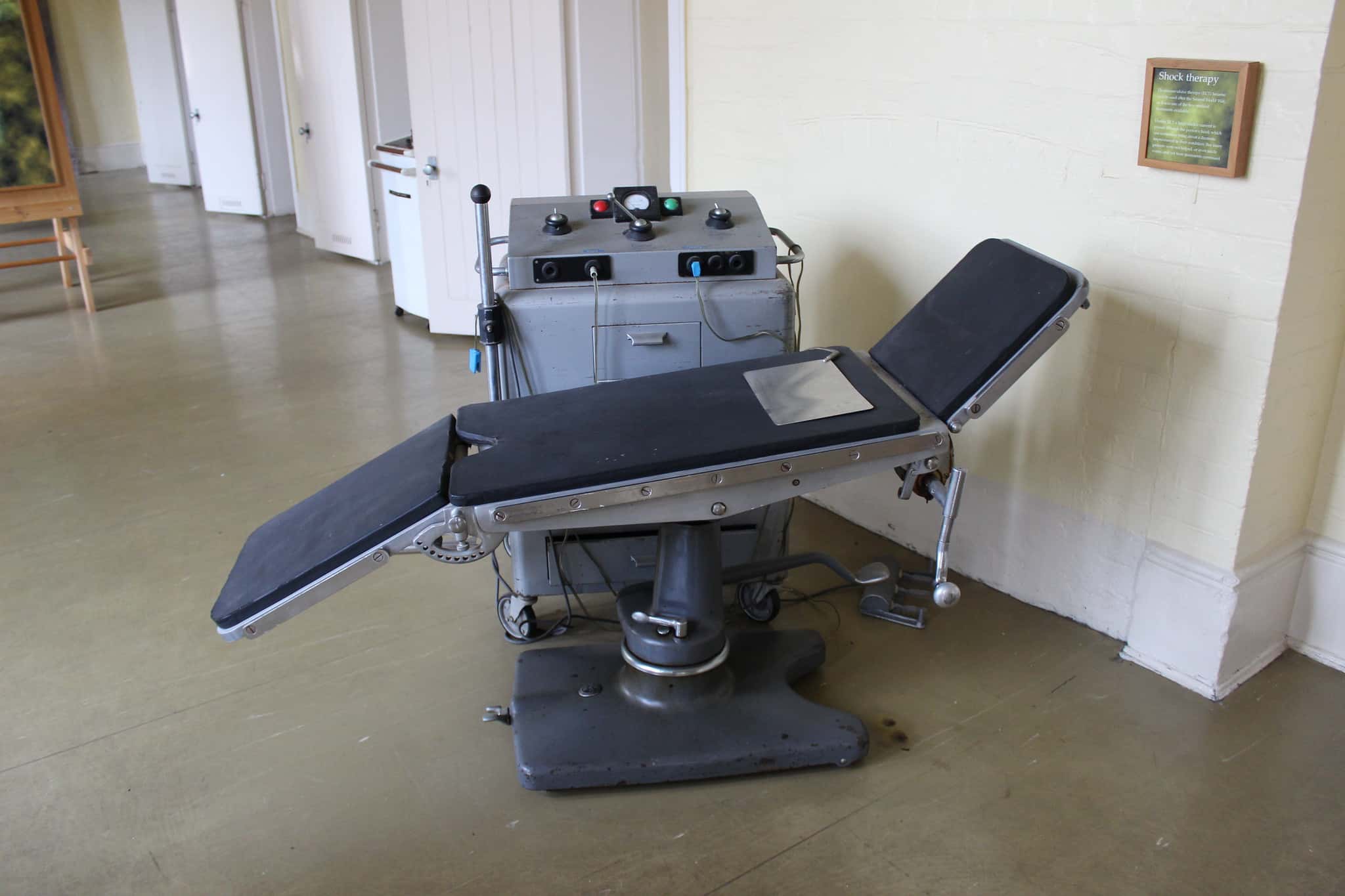 Zelda Fitzgerald Facts