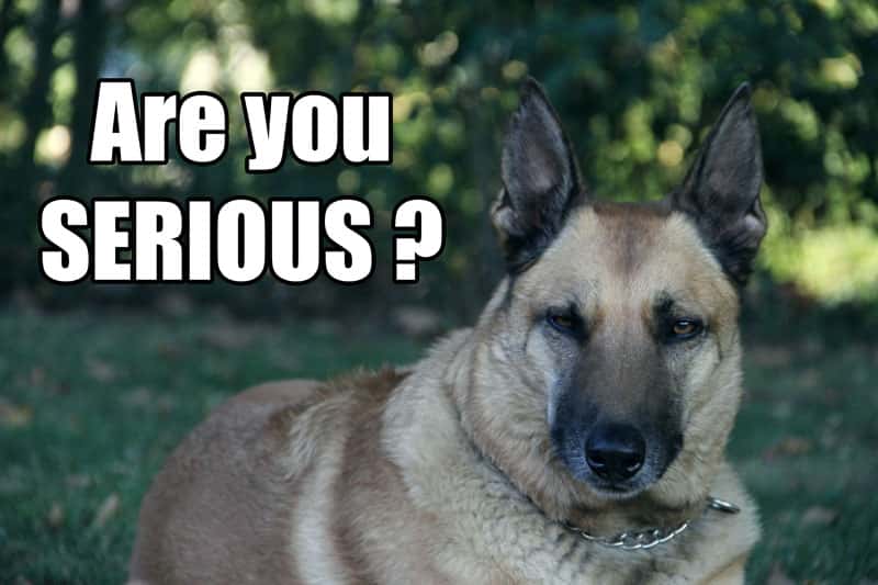 Bizarre Celebrity Encounters facts