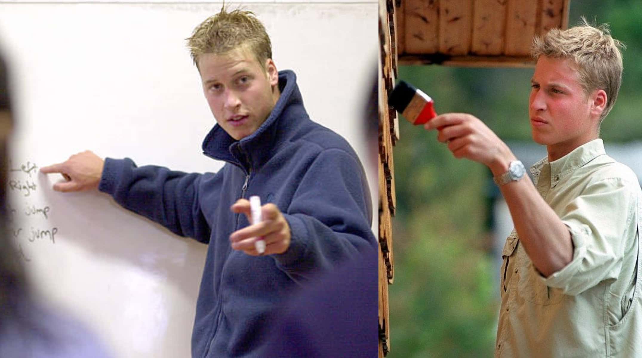 Prince William facts