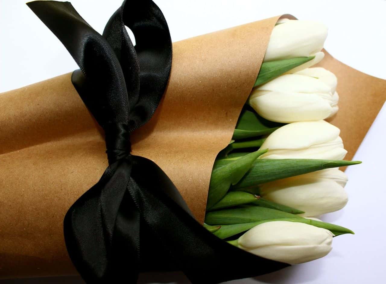 Andre the Giant Facts