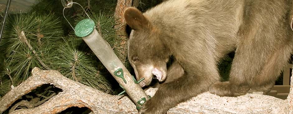 Craziest Things Moms Ever Done Facts