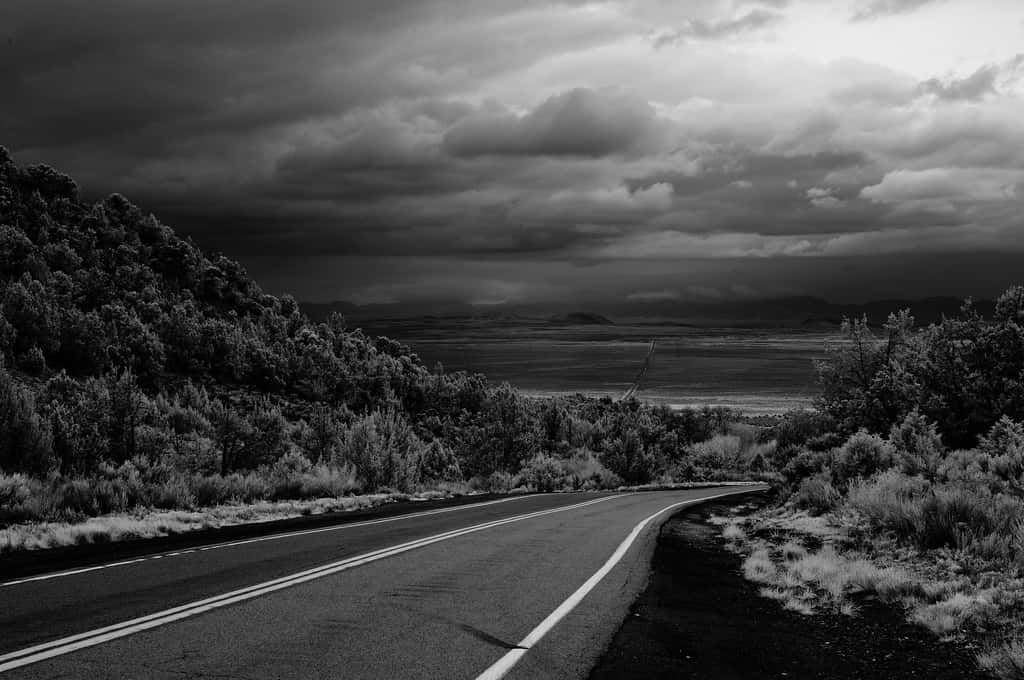 Glitch In The Matrix Moments facts