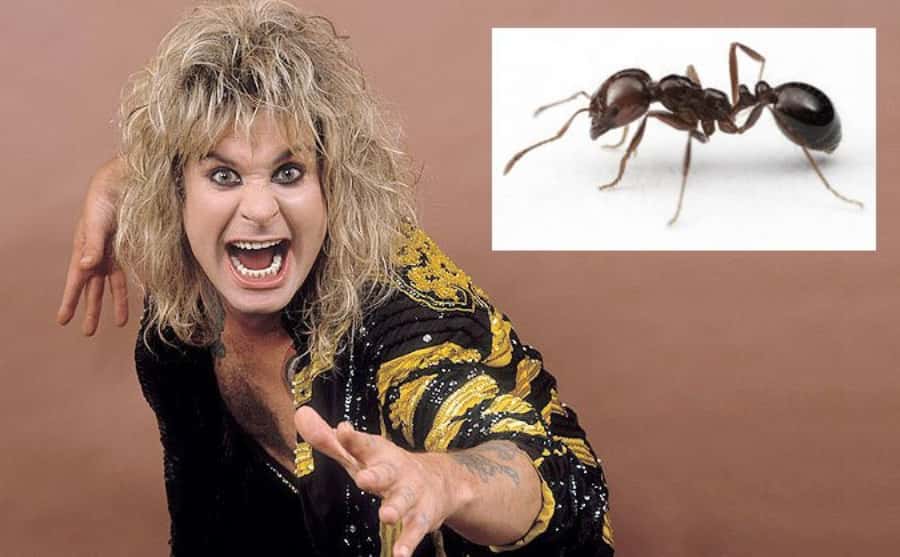 Ozzy Osbourne facts
