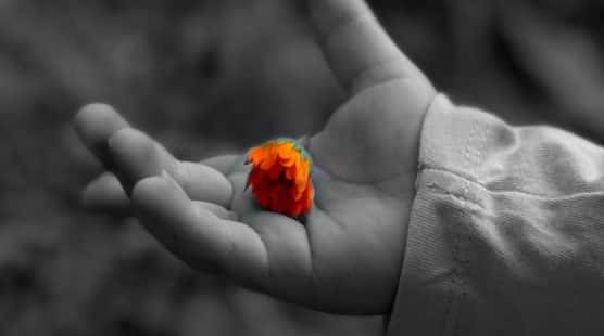 Charles Lindbergh facts