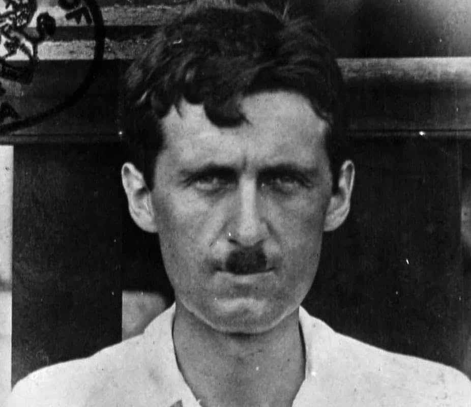 George Orwell facts