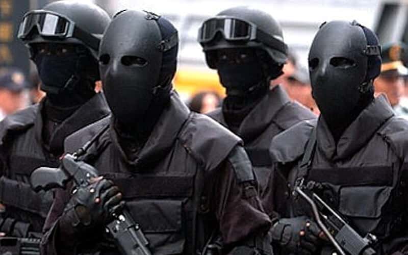 Elite Special Forces Facts