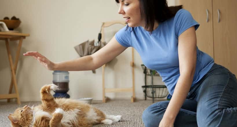 Worst Airbnb Stories Facts