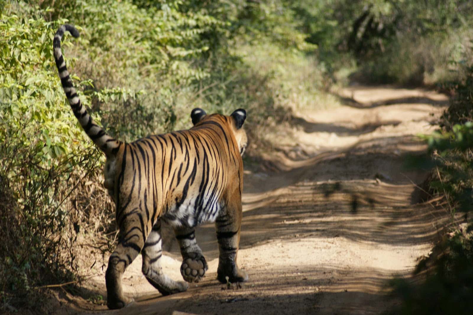 Worst Mistakes Facts