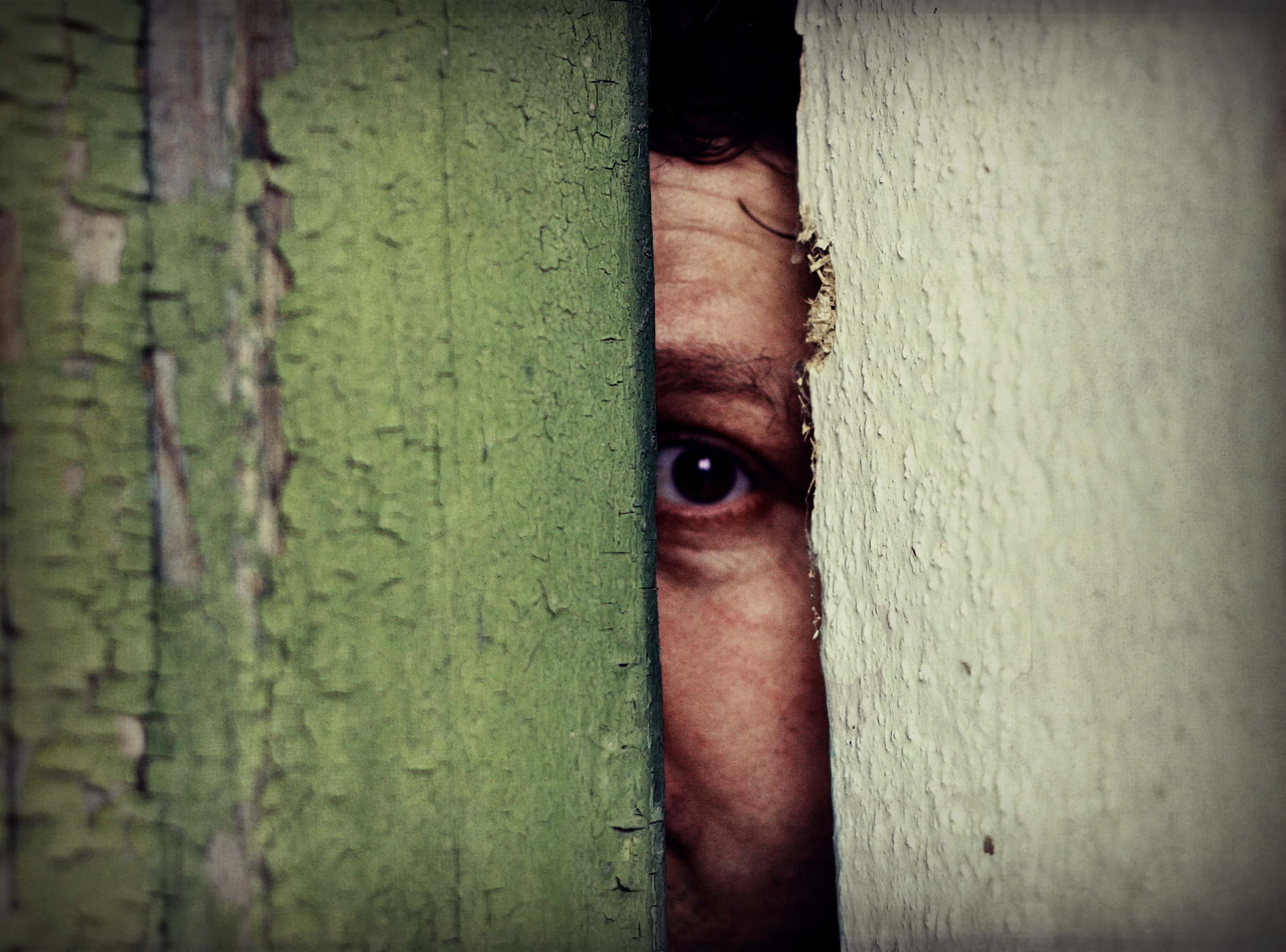 Landlord Complete Jerk facts