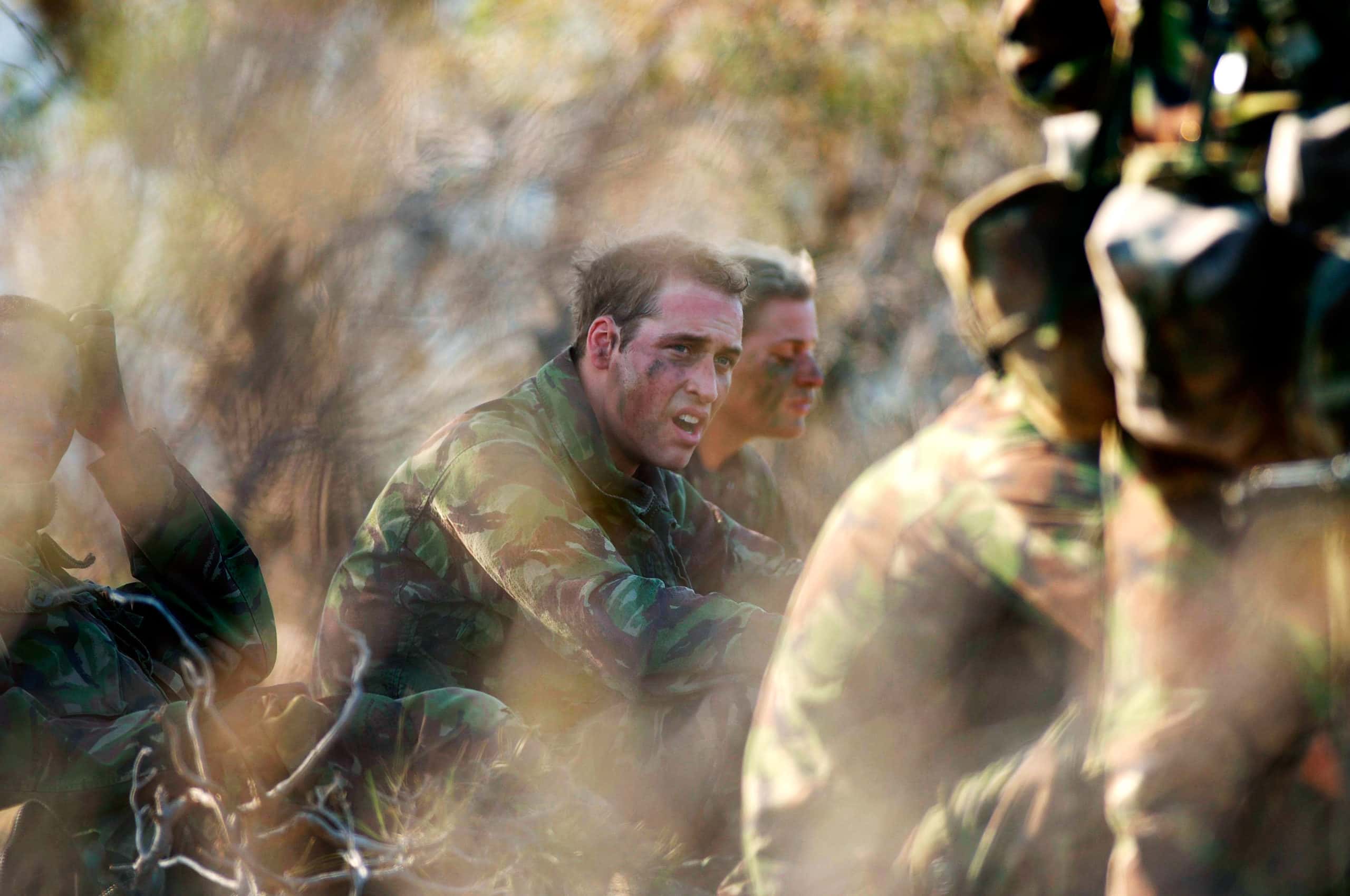 Prince William facts