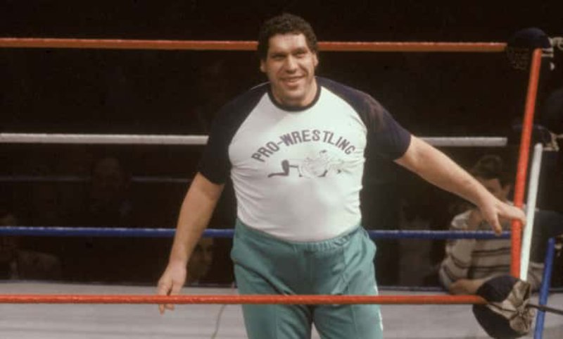 Andre the Giant in ring 
