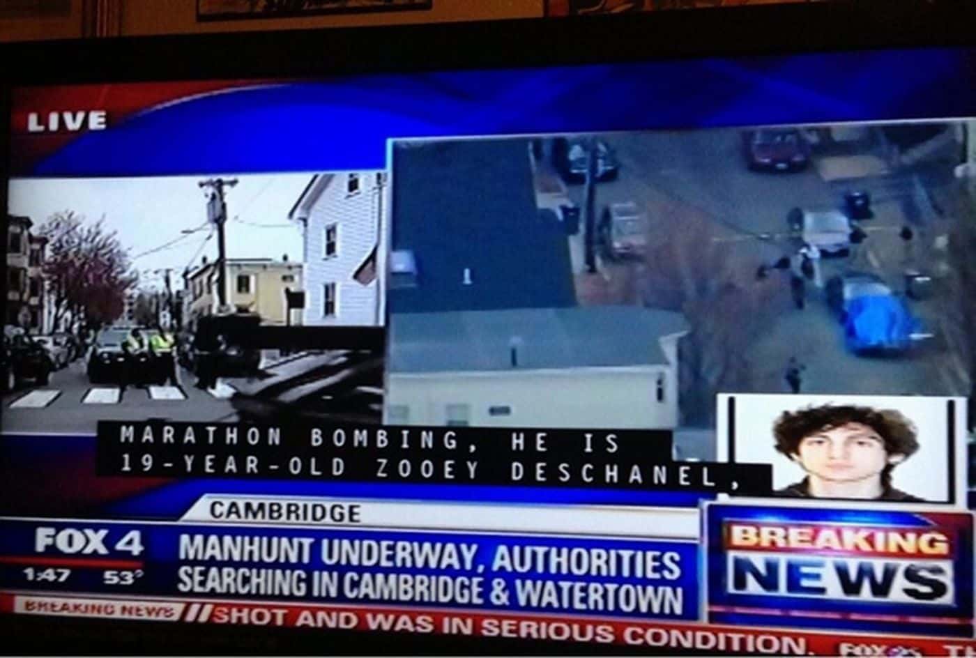 Zooey Deschanel Facts