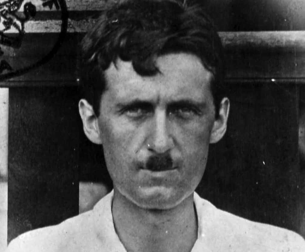 George Orwell facts