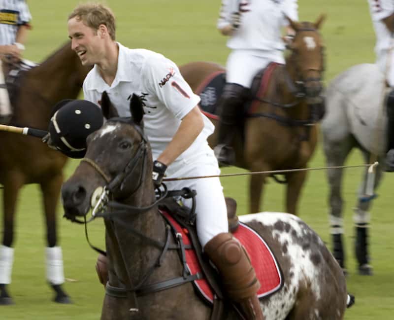 Prince William facts