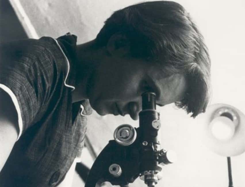 Women Who Influenced History  Facts